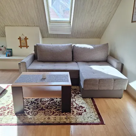 Vidos Apartamentai Apartment Vilnius