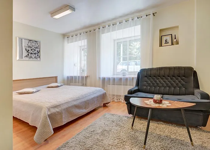 Vidos Apartamentai Butas Vilnius