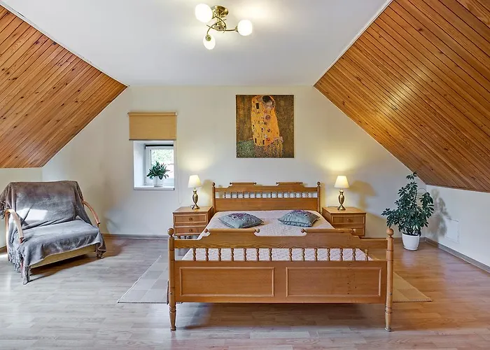 Vidos Apartamentai Butas Vilnius